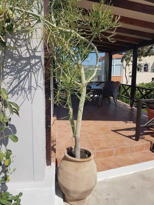Amalthia Villa Sitia  Exteriör bild
