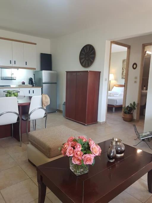 Amalthia Villa Sitia  Exteriör bild