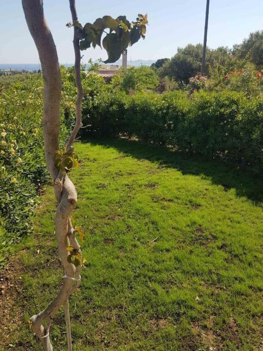 Amalthia Villa Sitia  Exteriör bild